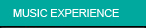 MUSIC EXPERIENCE