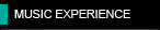 MUSIC EXPERIENCE